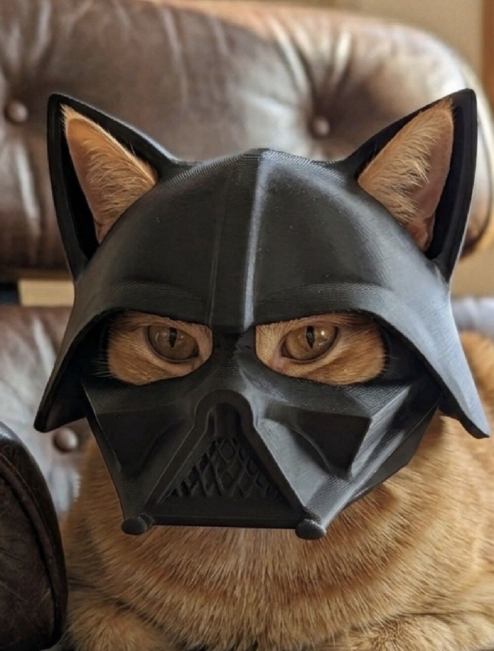 Cat Full Face Helmet Mask Darth Vader Style Cat Ears One Size Black